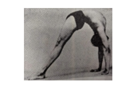 Vrischikasana